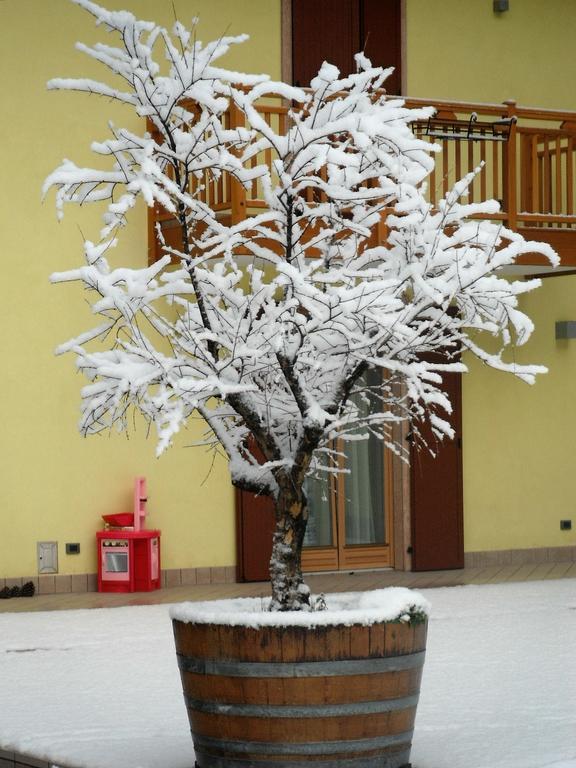 Agritur Ai Masi Villa Pergolese Bagian luar foto