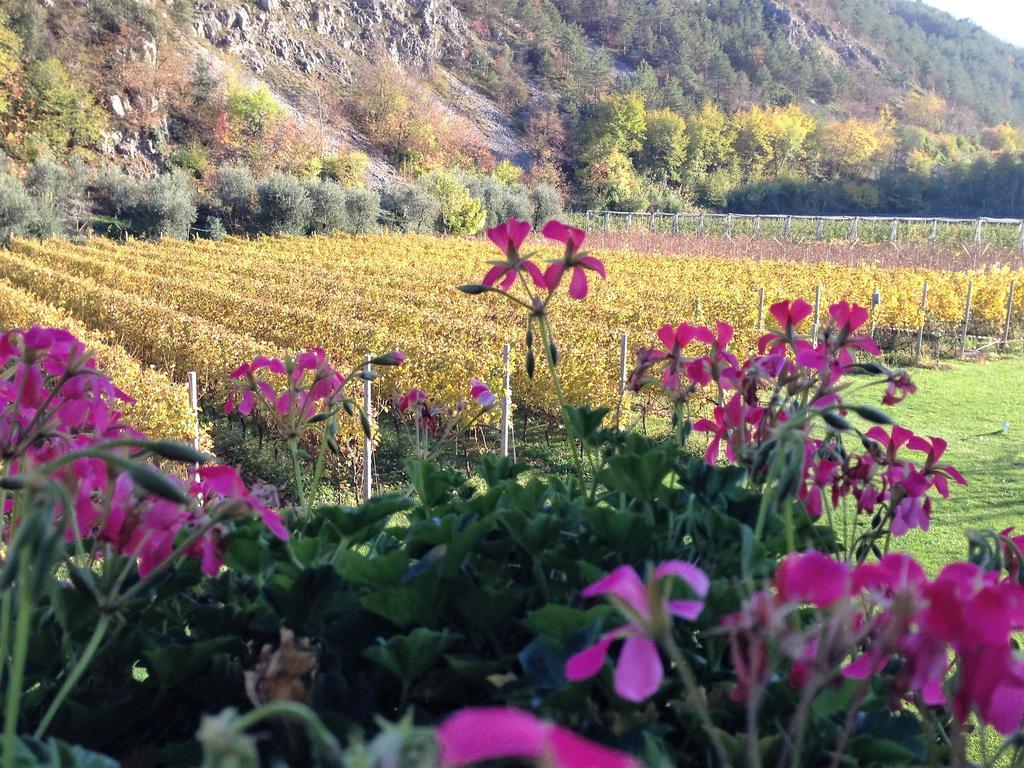 Agritur Ai Masi Villa Pergolese Bagian luar foto