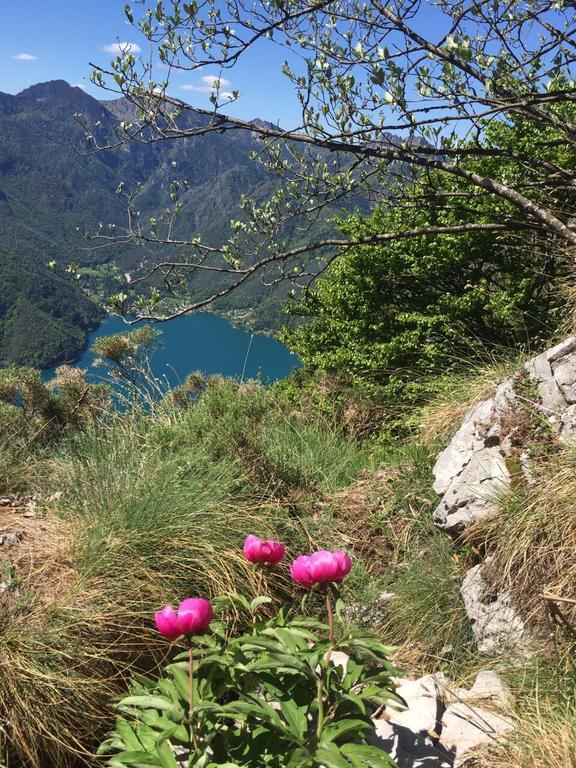 Agritur Ai Masi Villa Pergolese Bagian luar foto